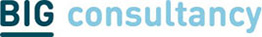 Big Consultancy